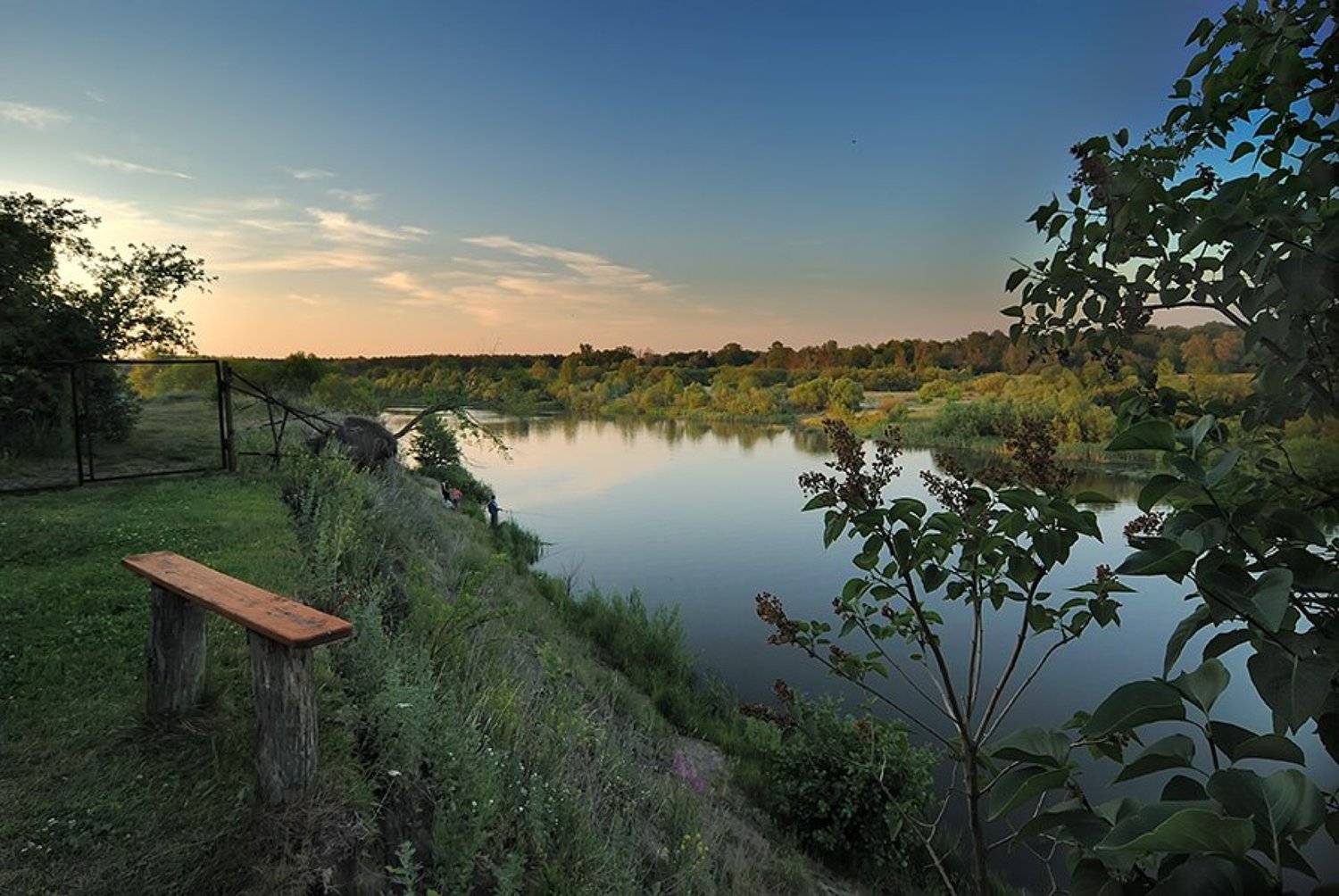 , Дмитрий Тимошин