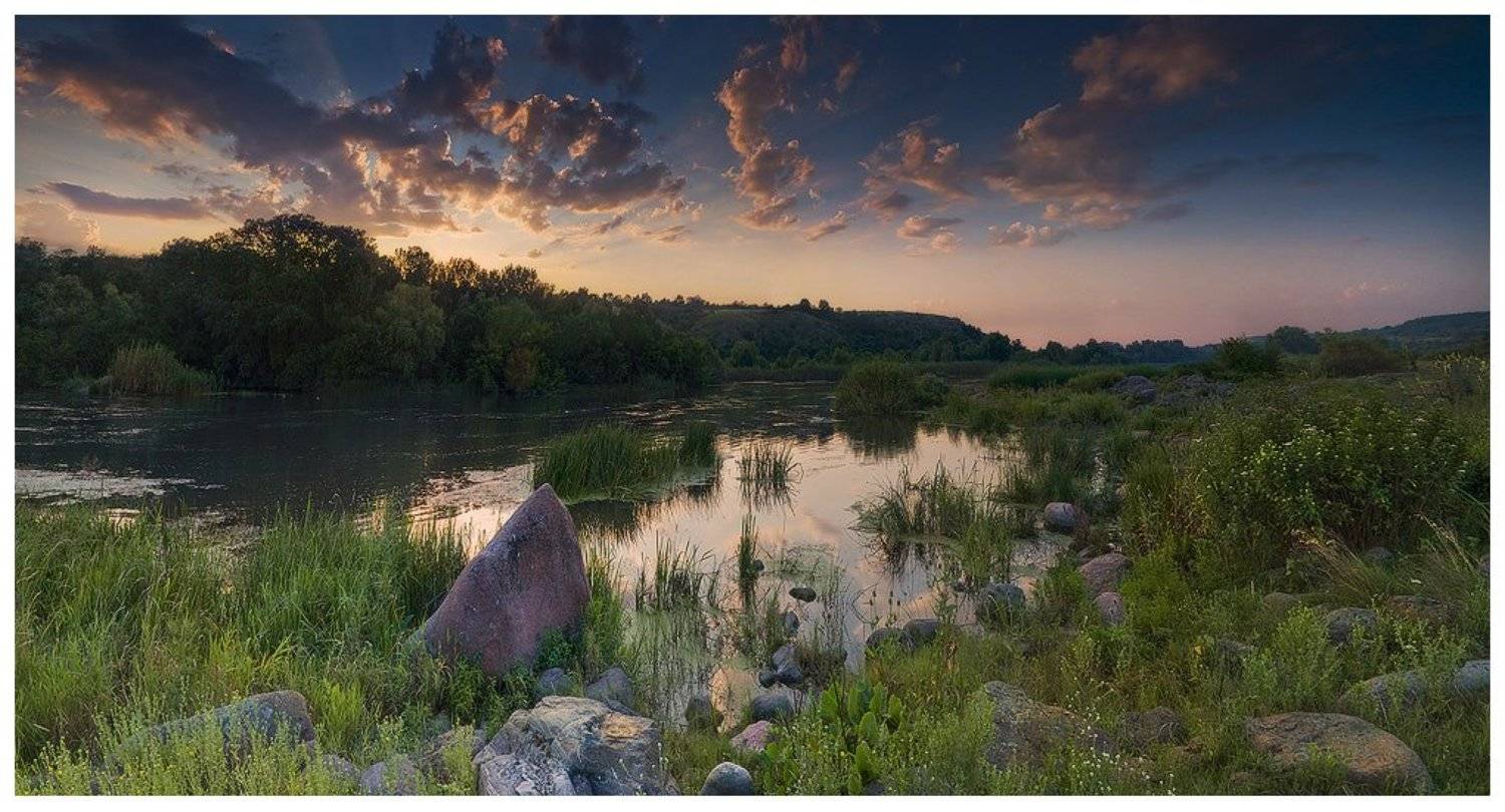 , Денис Кривой