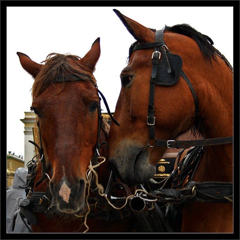 Про любовь фото превью