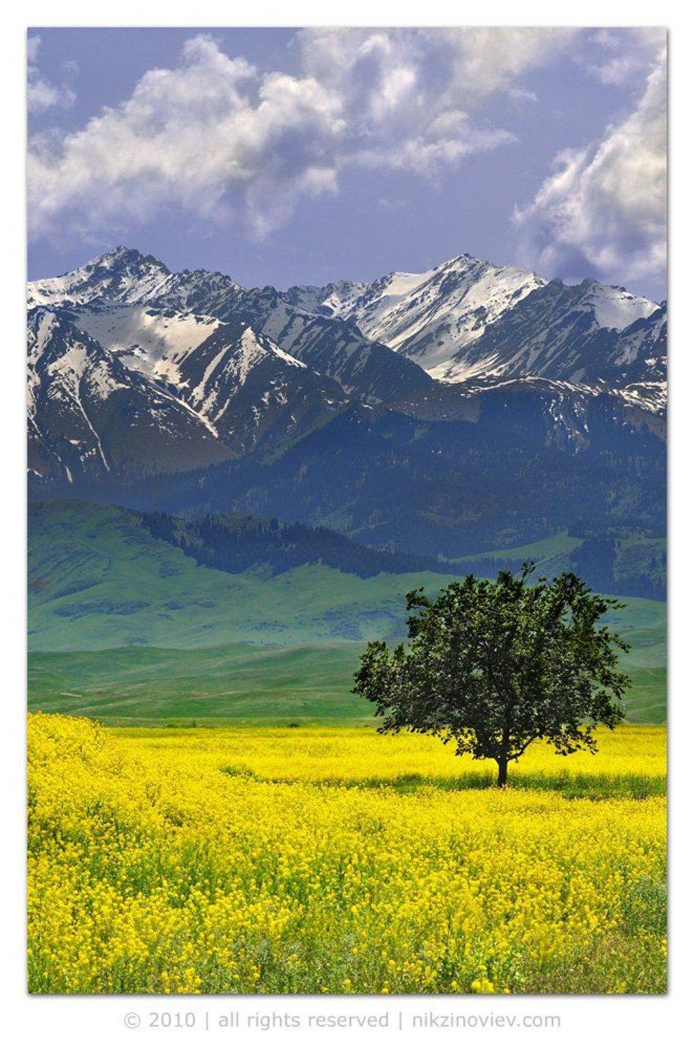 пейзаж, казахстан, николай зиновьев, Николай Зиновьев