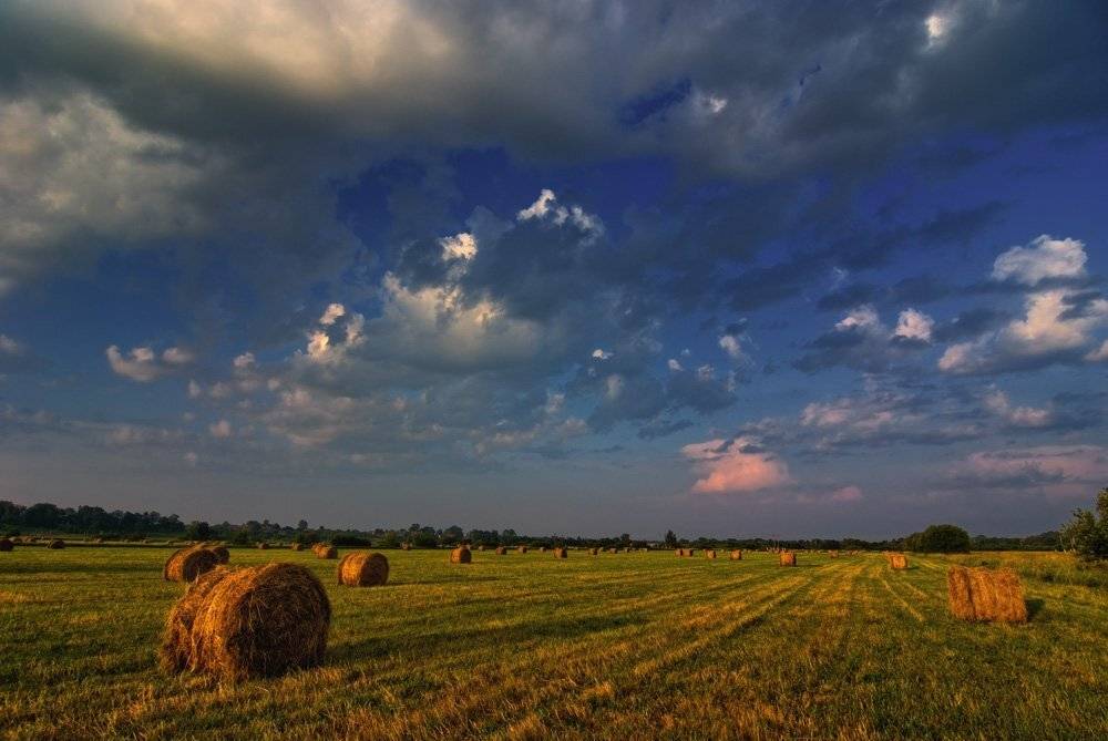 , Александр Титаренко
