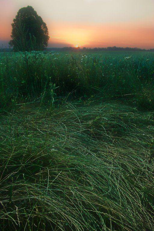 , Рафаэль Александрович Фоменко