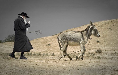 Погонщик ослов