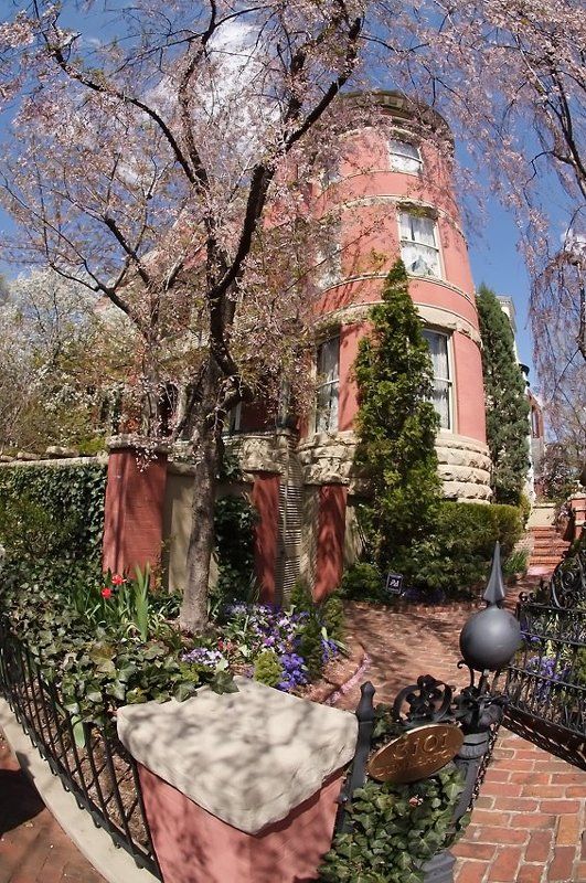 3101 фото превью