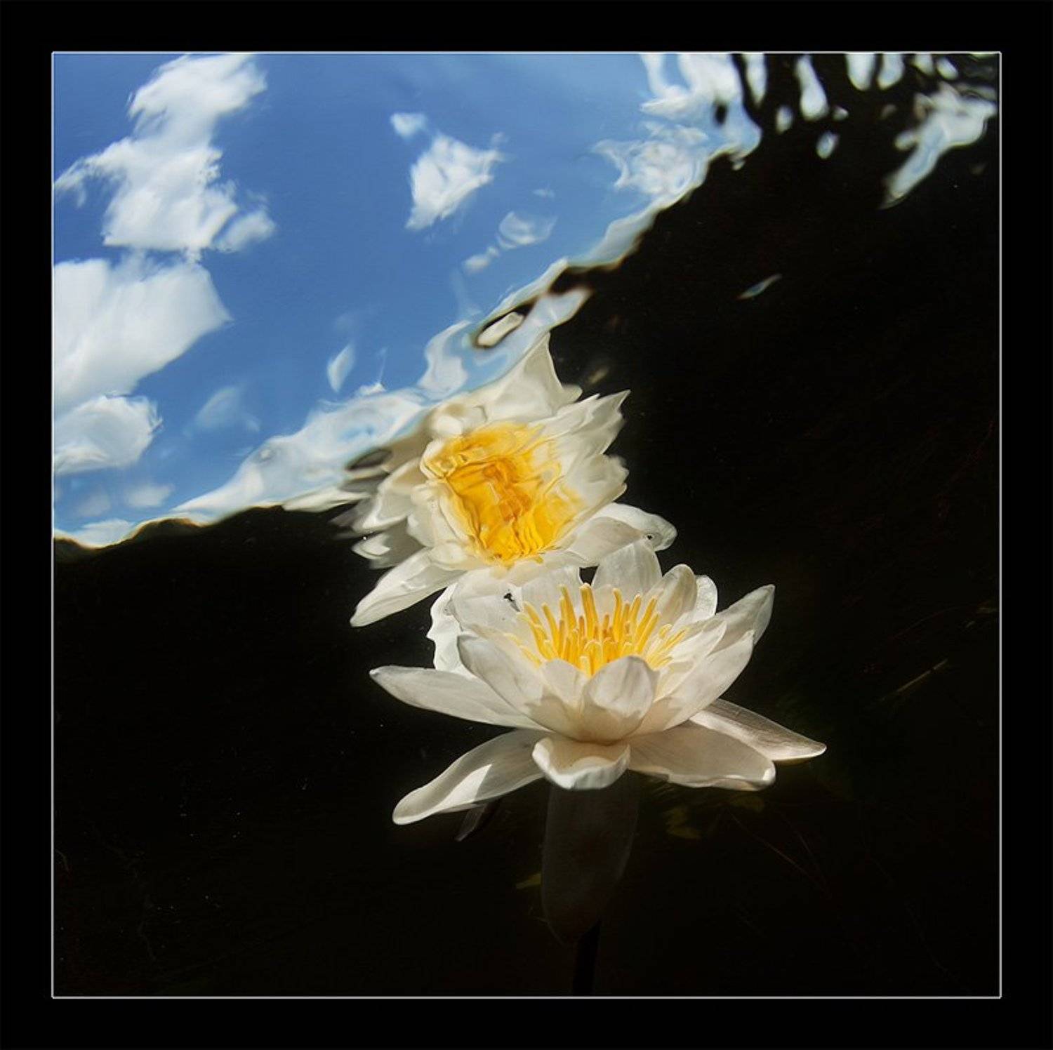 , Нарчук Андрей