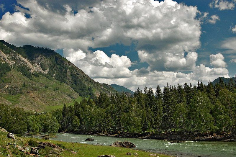 горы, лес, река, небо, облака, лето, алтай  фото превью