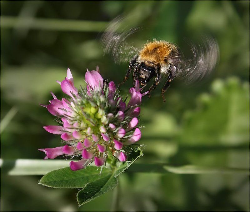Дозаправка в воздухе фото превью