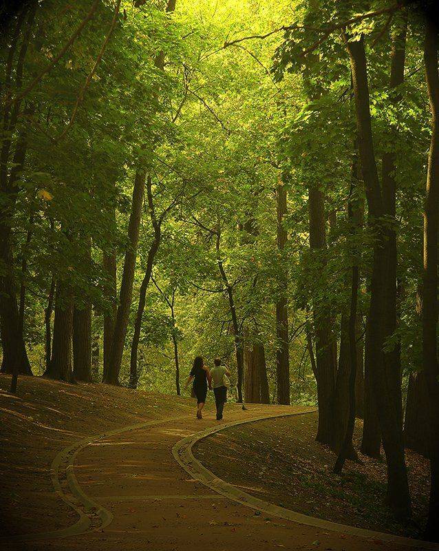 парк., лето., человек., Александр