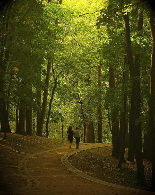 парк., лето., человек. Прогулка в парке фото превью