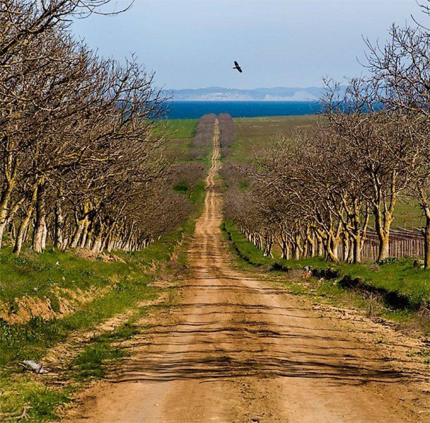 , Михаил Ступин