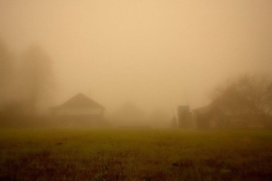 туман, Александр