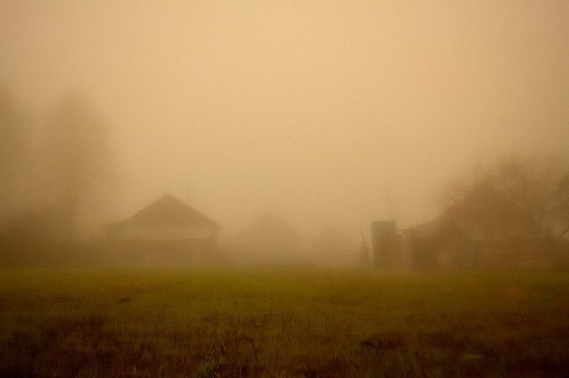 туман Туман фото превью