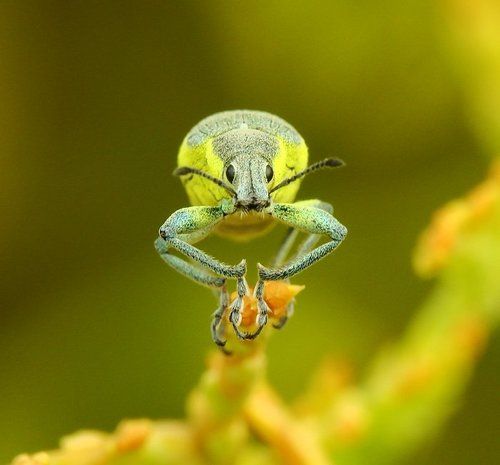 Люблю. Жду. Надеюсь.