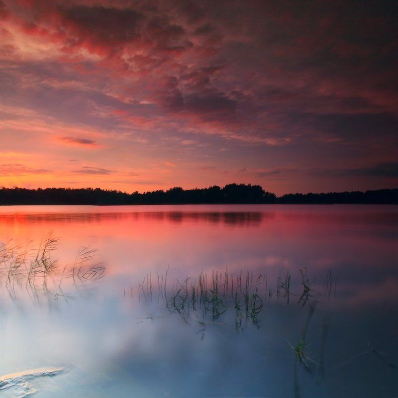 Тишина фото превью