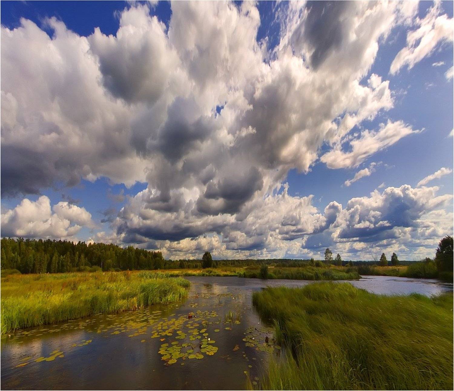 , Клюшкин Юрий