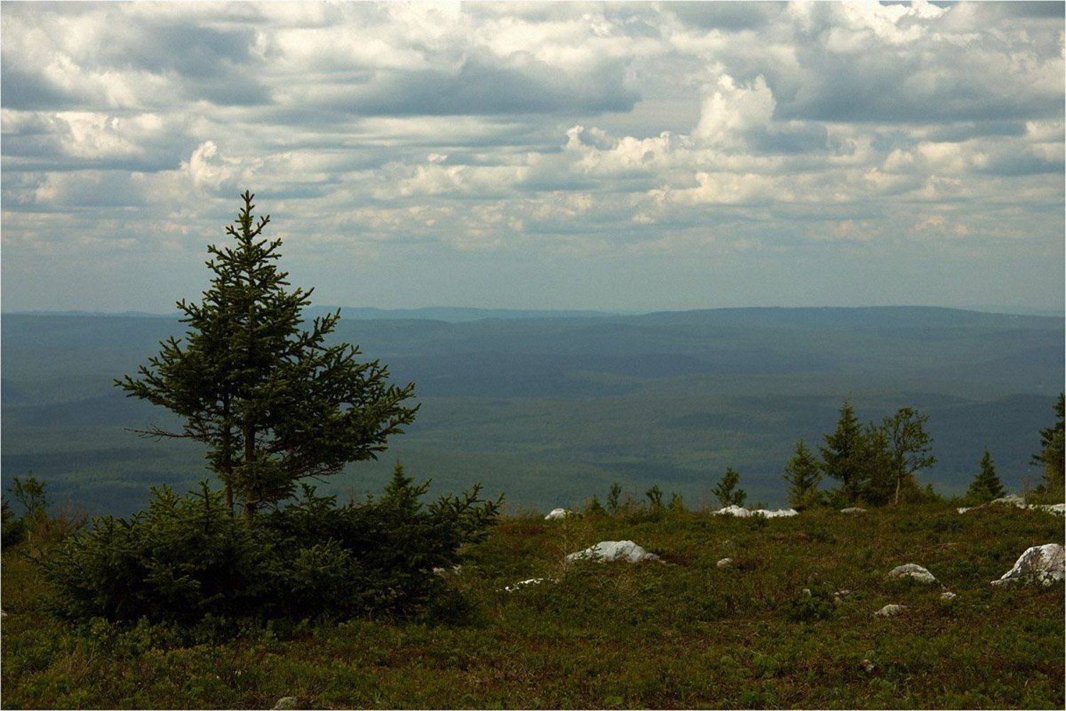 зюраткуль, Ольга Шуть