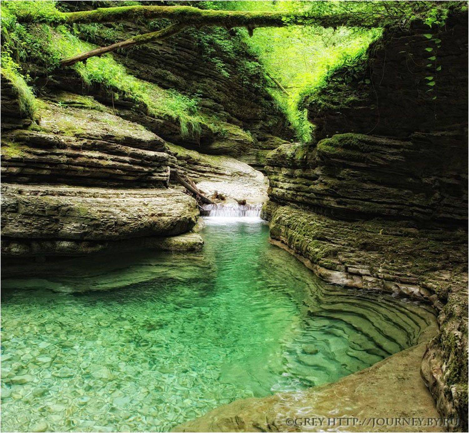 , Сергей Павлов