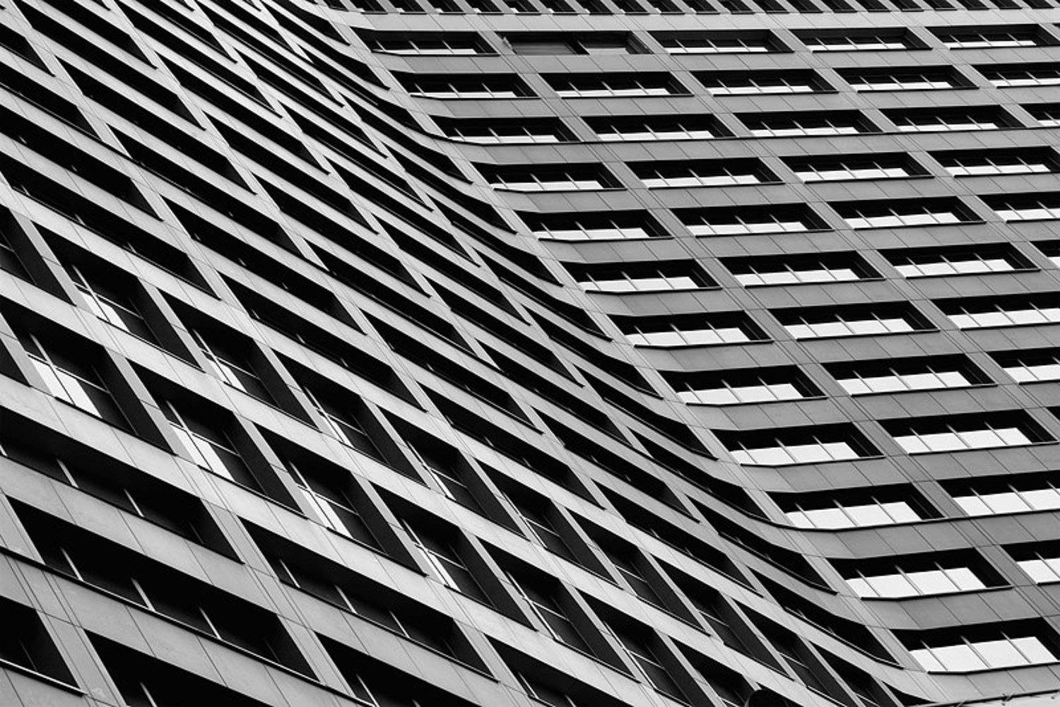 абстракция, b/w, минимализм, Тигров