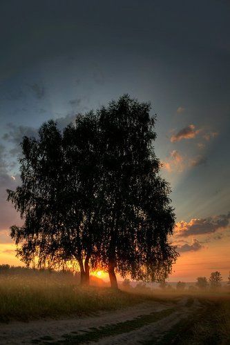 Дорога