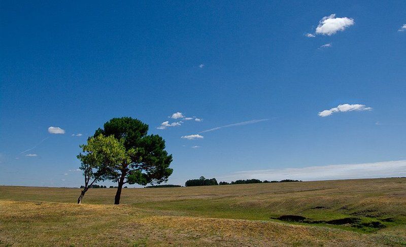 зауральские просторы фото превью