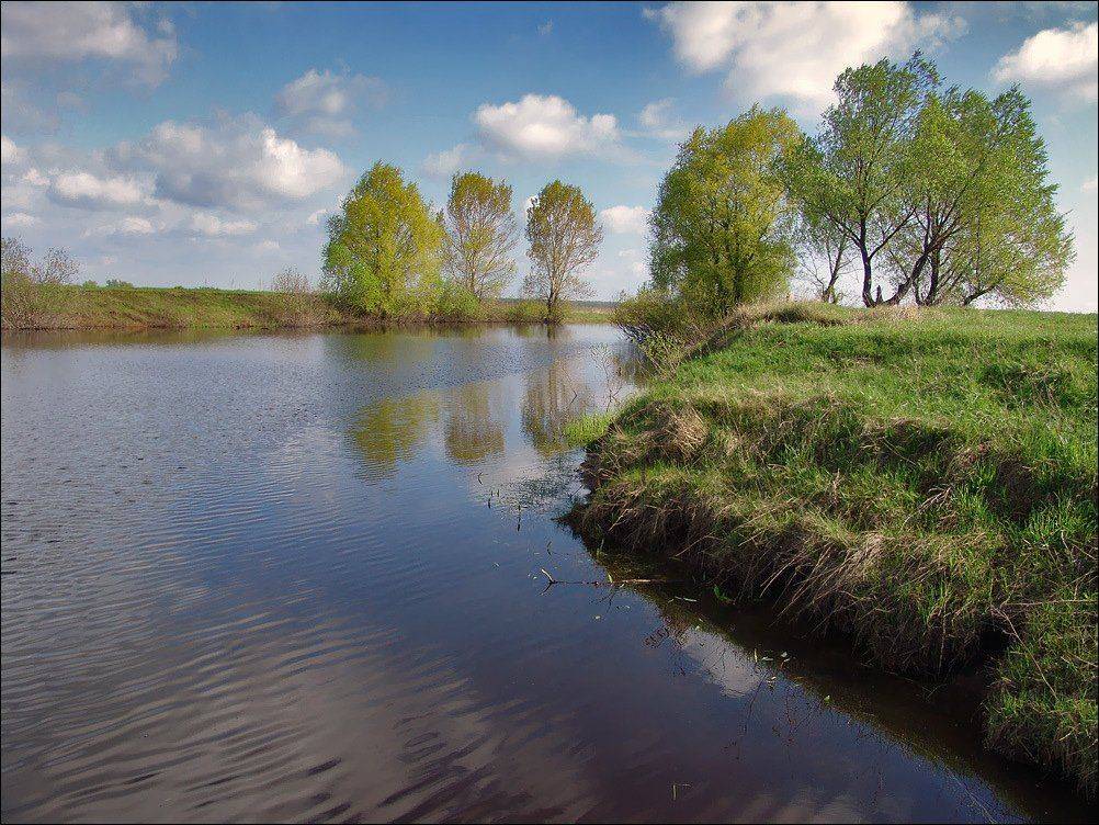 рязанщина, весна, Тарасов Алексей