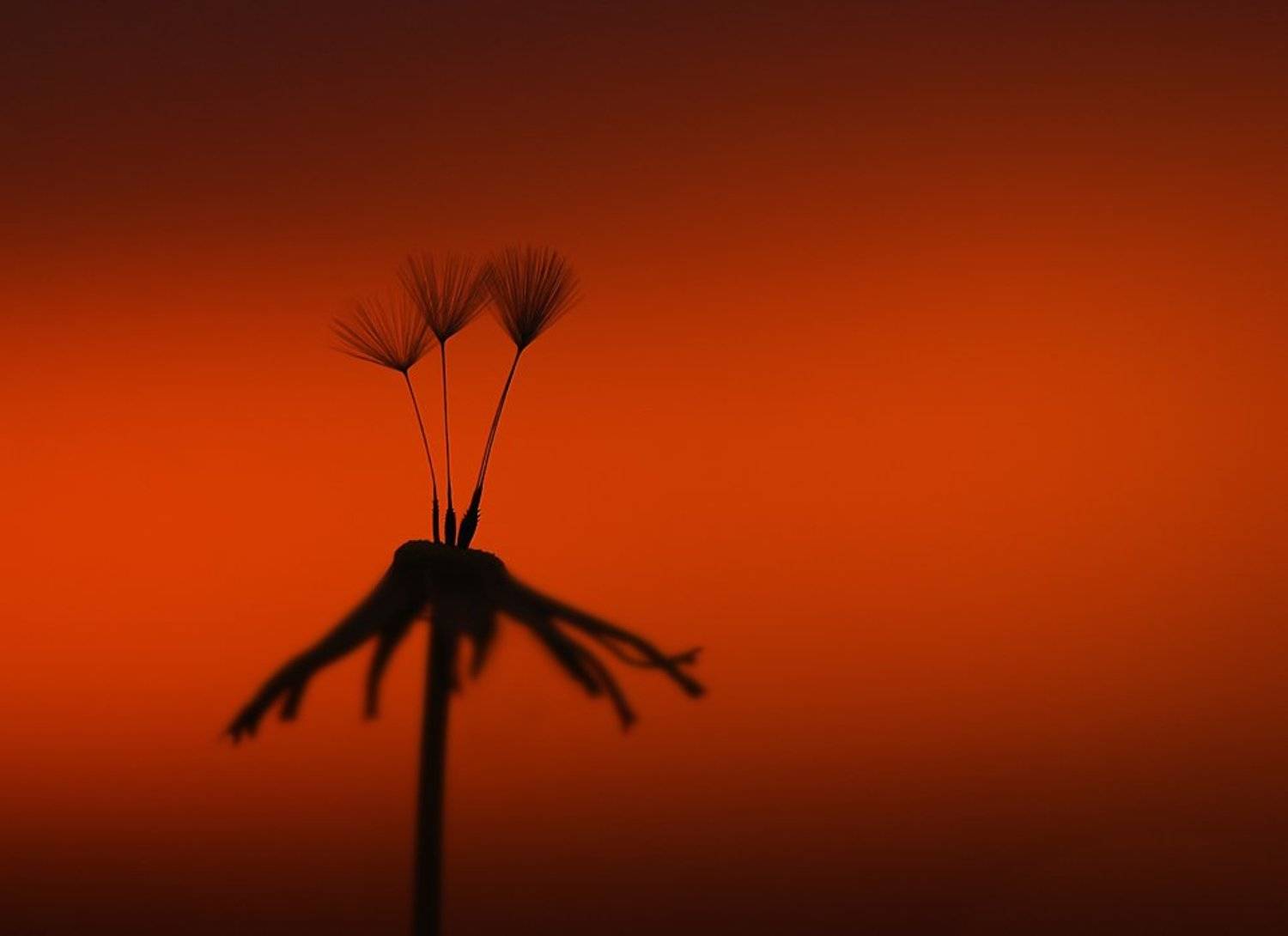 , Татьяна Аверина