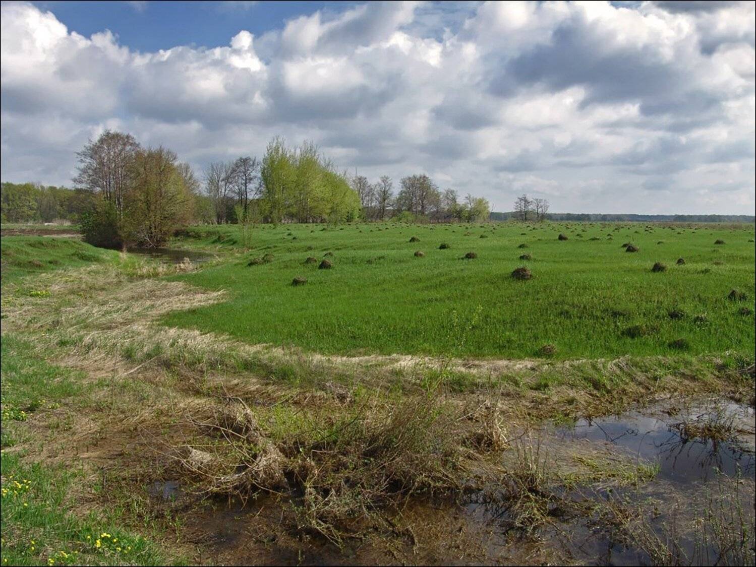 рязанщина, весна, Тарасов Алексей