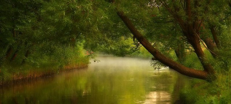 река ---- фото превью