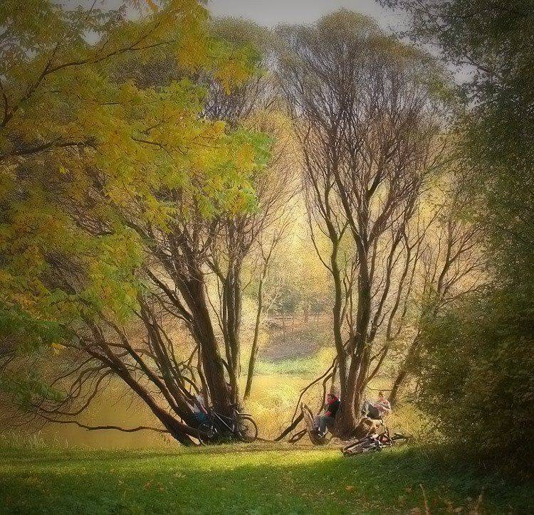 , Александр