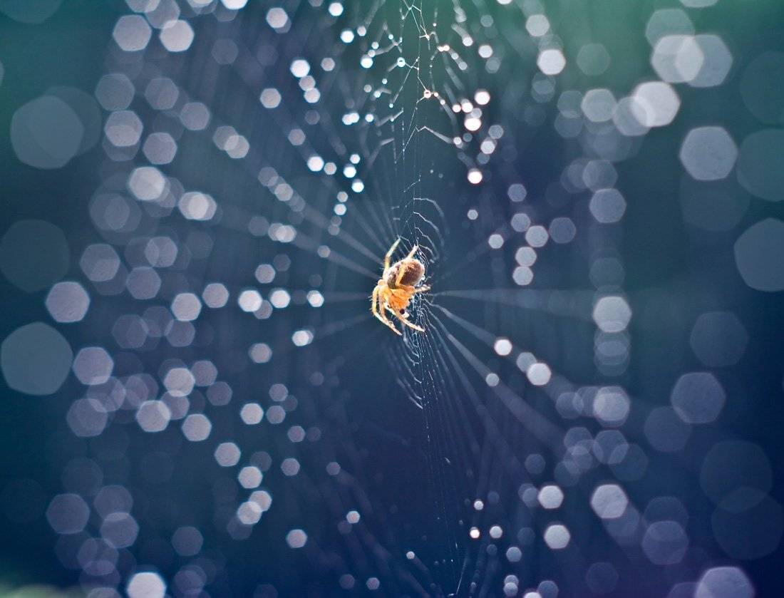 , Александр