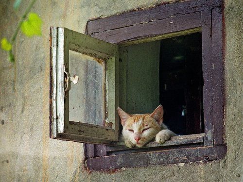 Философ