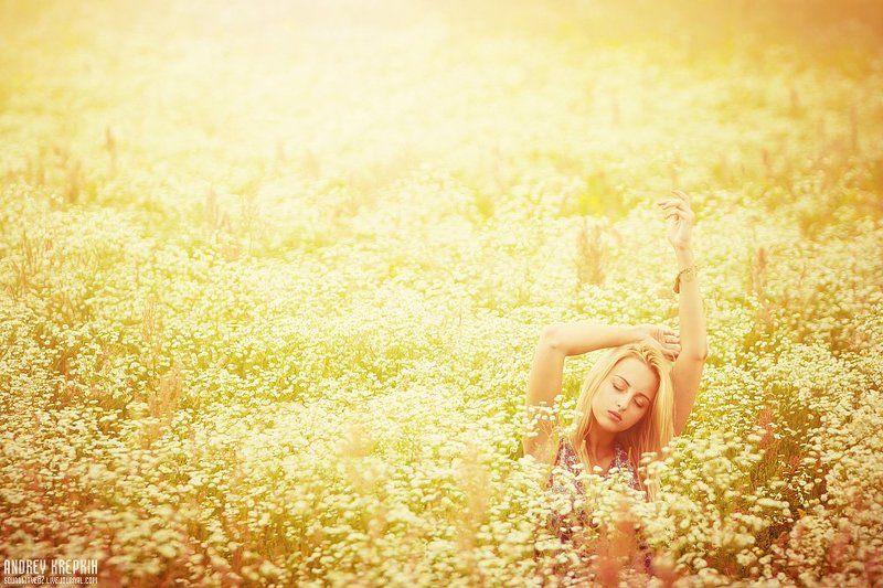 настя, девушка, поле, цветы *** фото превью