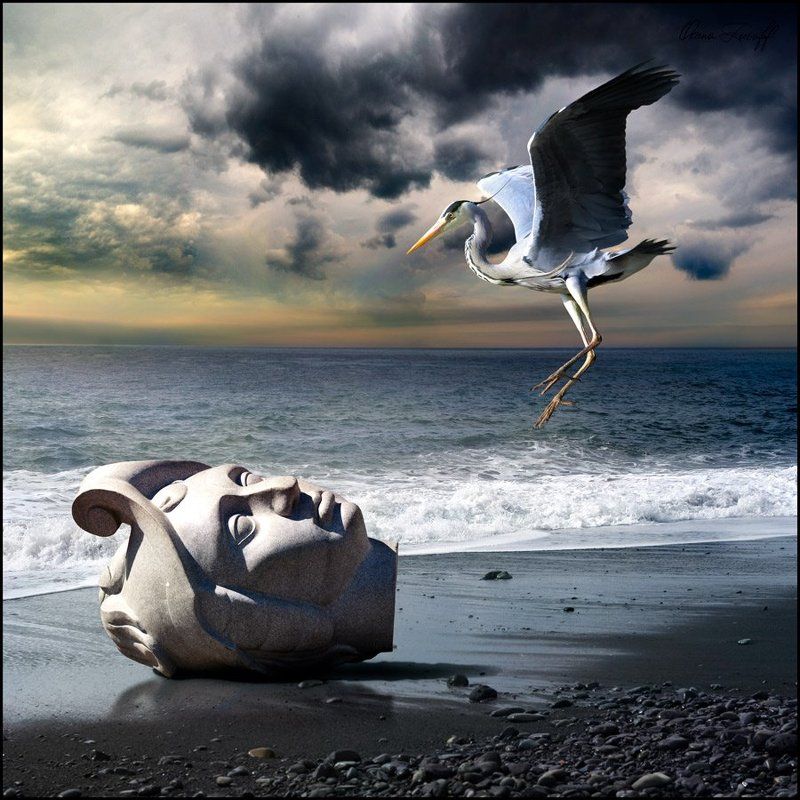 Cassius фото превью