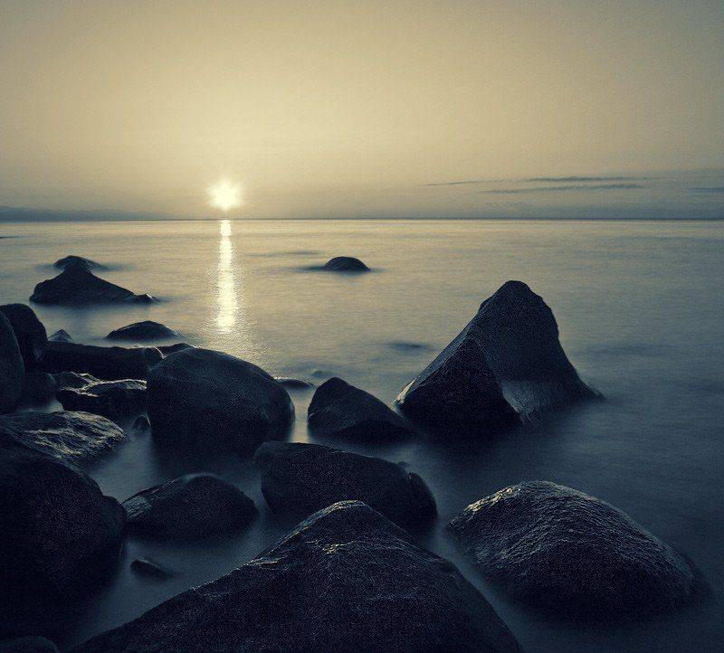 , Владимир Точаненко