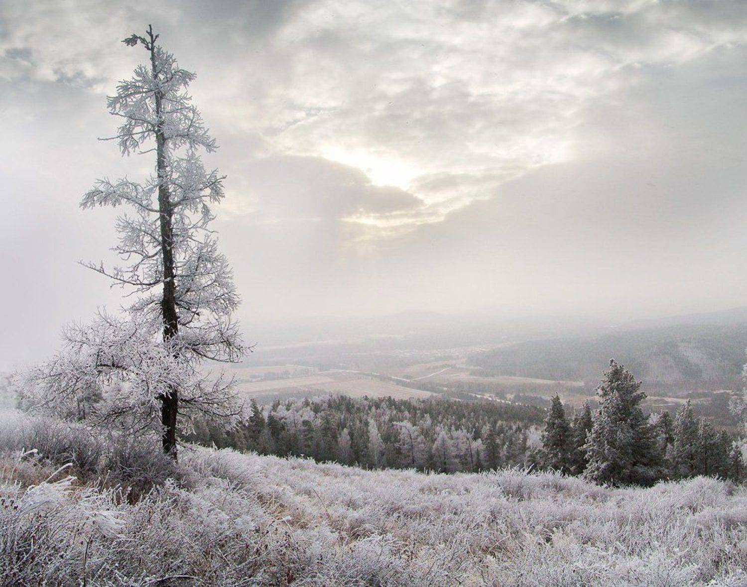 , Светлана Попова