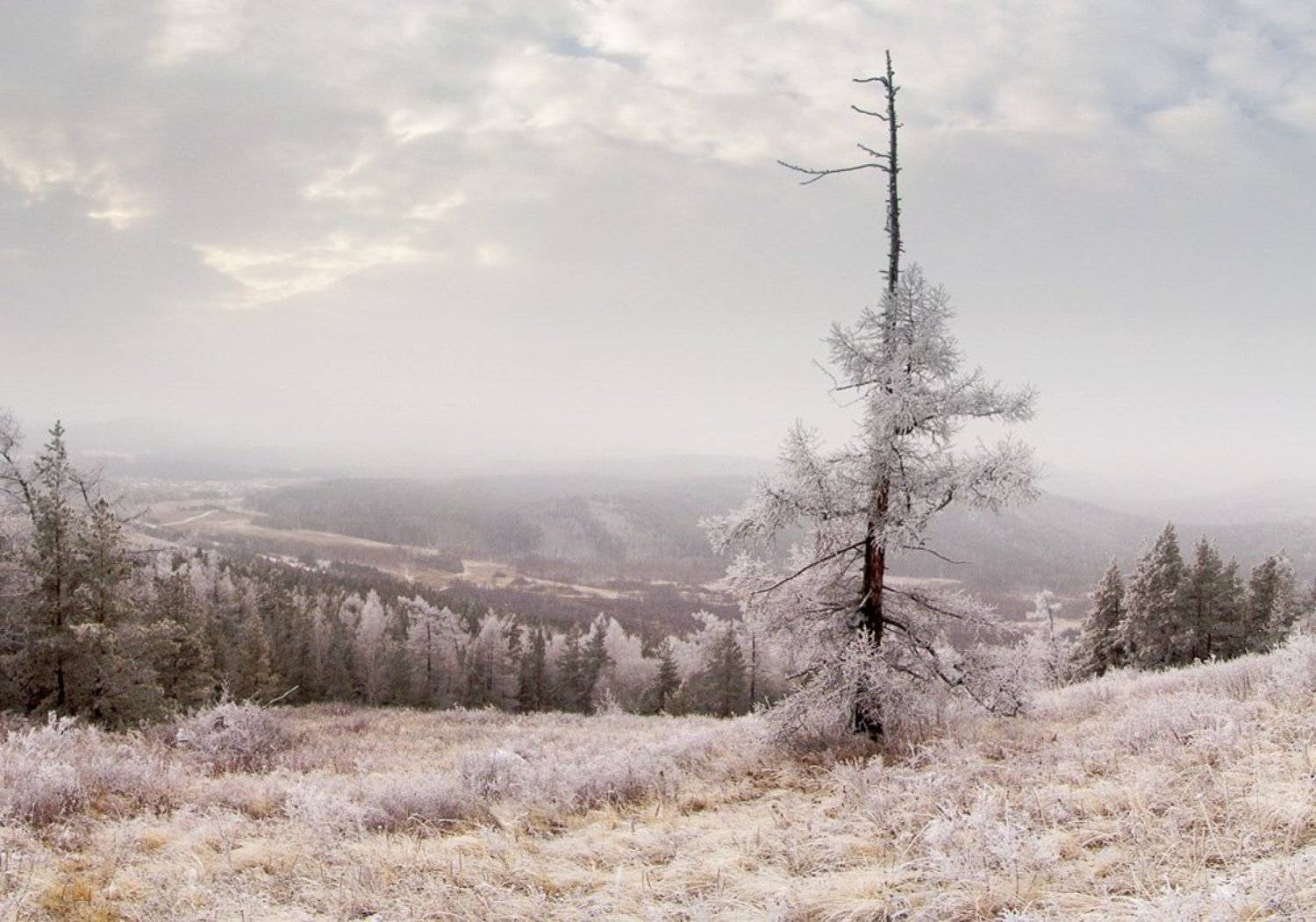 , Светлана Попова