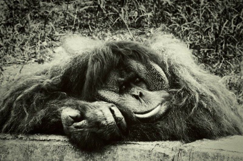 Сны о чём-то большем фото превью