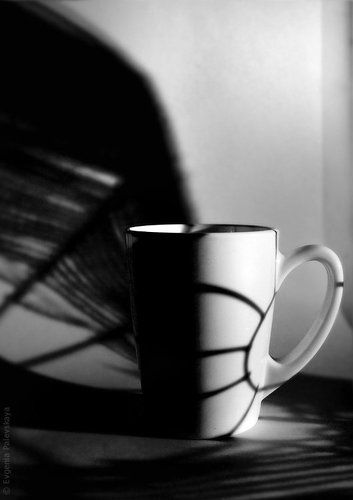 Shadow