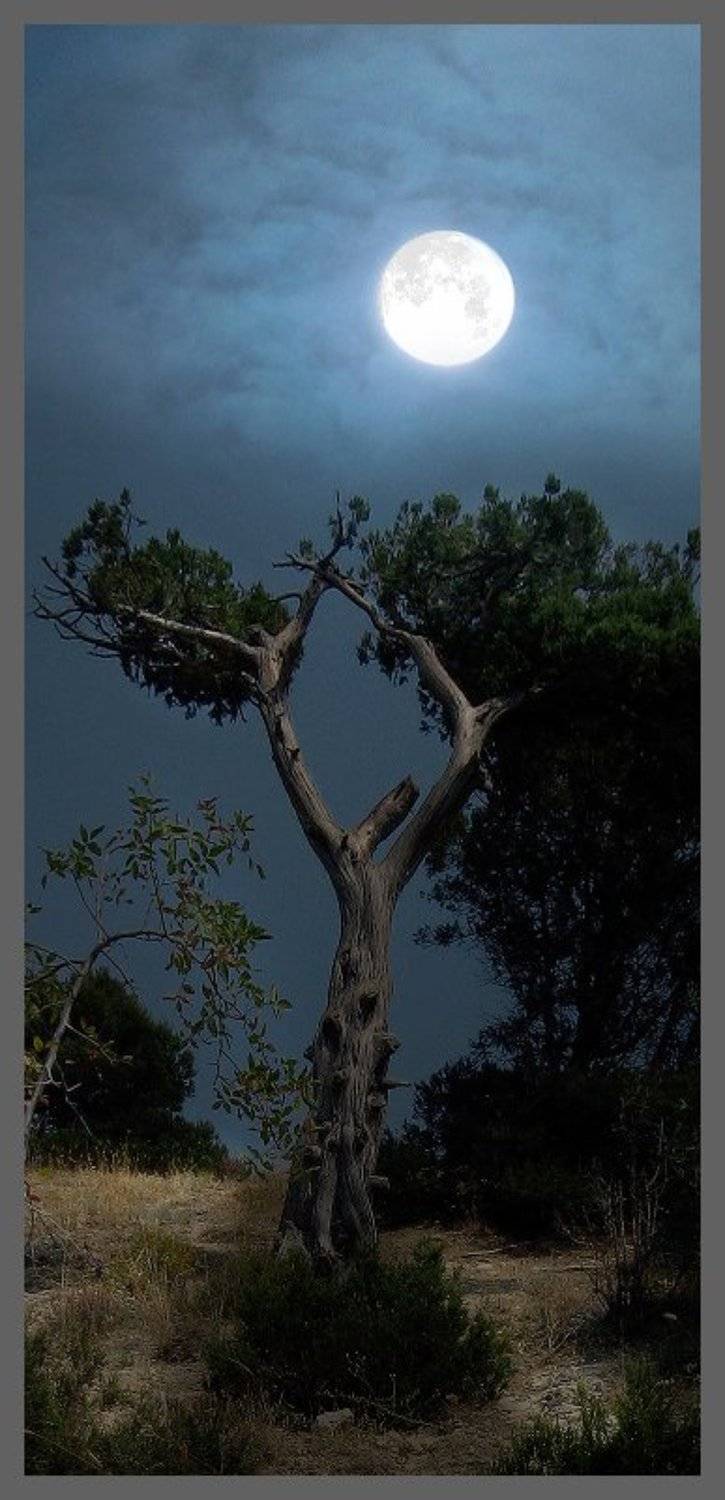 мистика, горы, крым, Сергей Мостовой