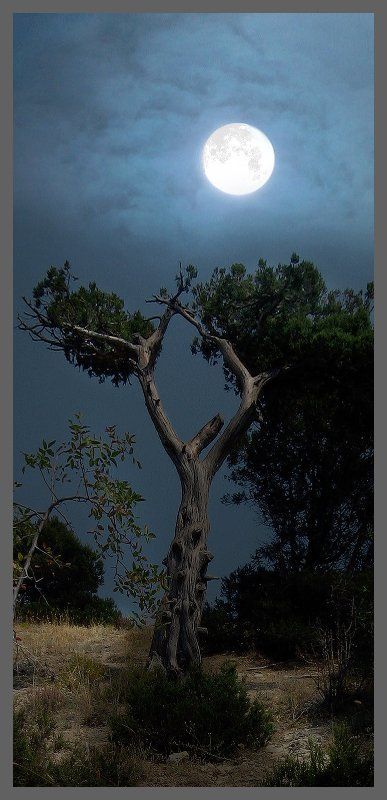 мистика, горы, крым мистика крымских гор фото превью