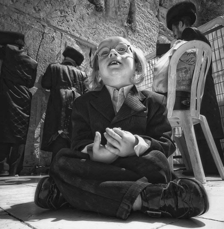 Шмулик фото превью