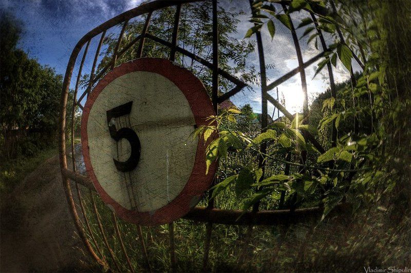 лето,знак,знаки,владимир,шипулин,запрещающий,запрещающие,пейзаж,пеленг Территория лета. Спешить запрещается! фото превью