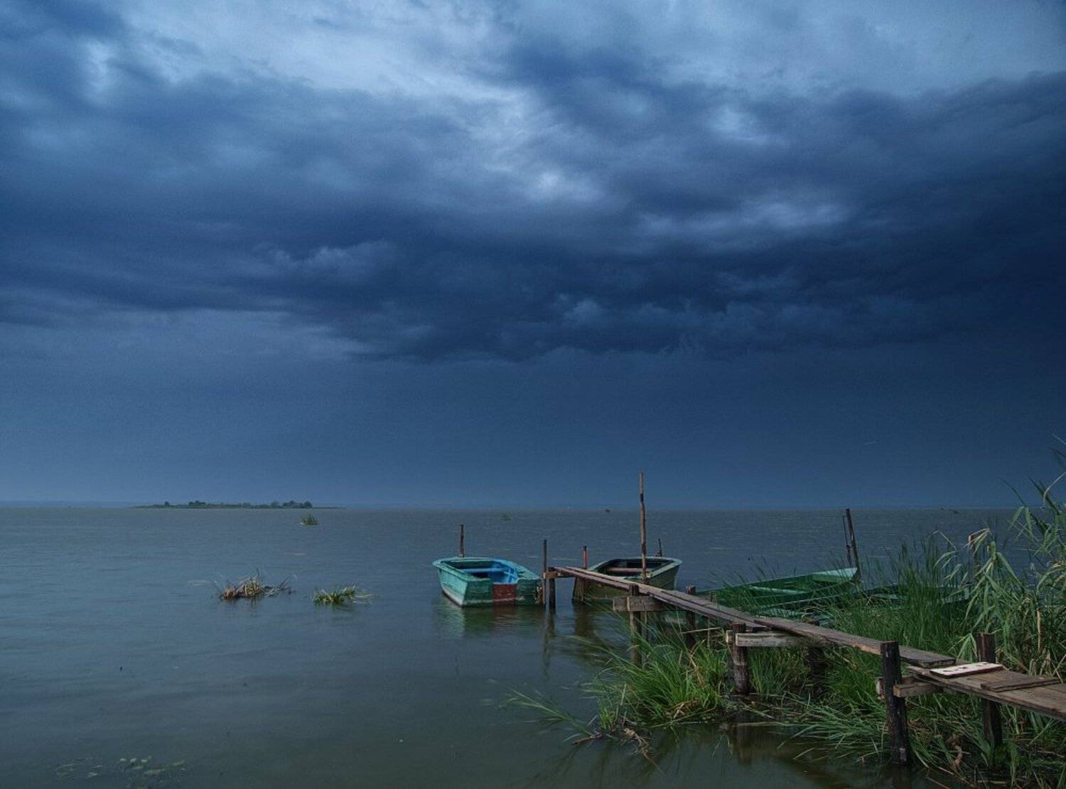 , Максим Евдокимов