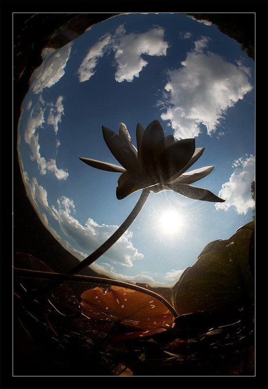 Будет затмение? фото превью