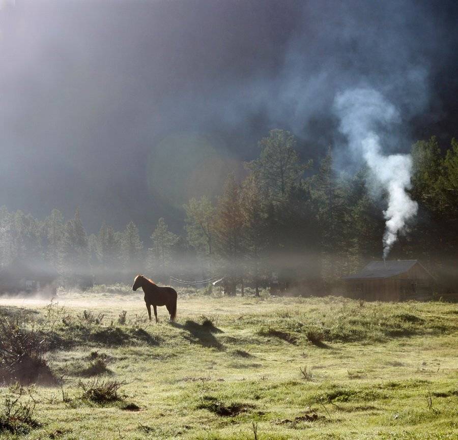 , Васенин Валерий