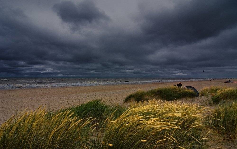 янтарное, море, Александр Титаренко