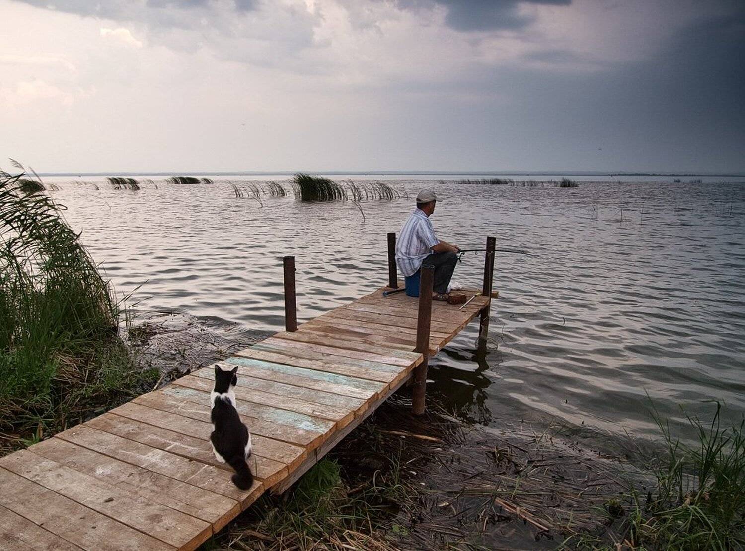 , Максим Евдокимов