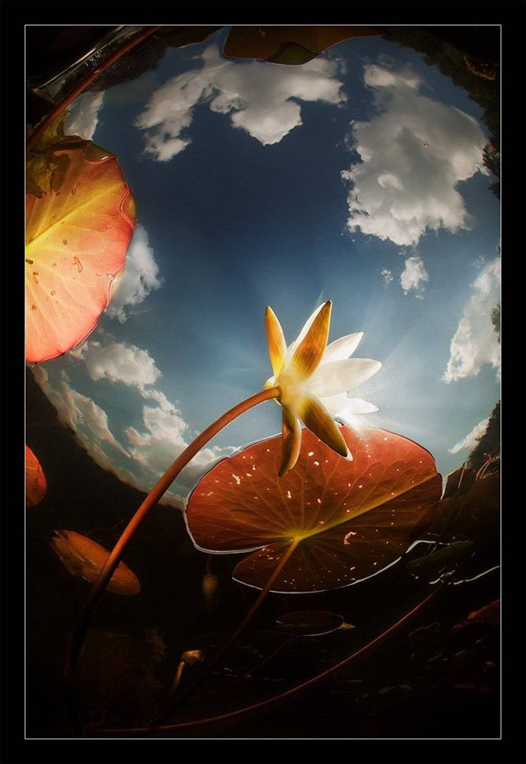 , Нарчук Андрей