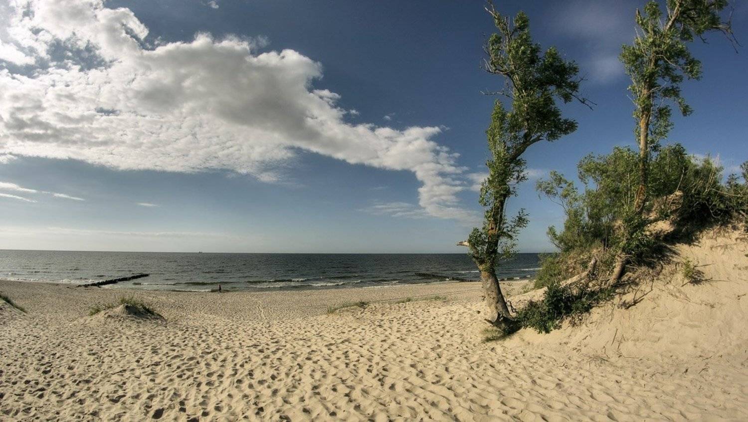 , Павел Дунюшкин