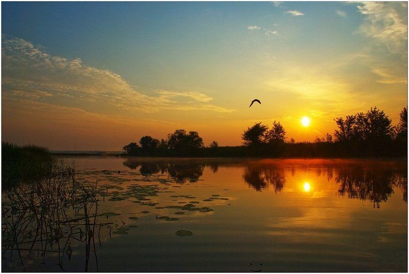 утро, рассвет Рано утром.. фото превью